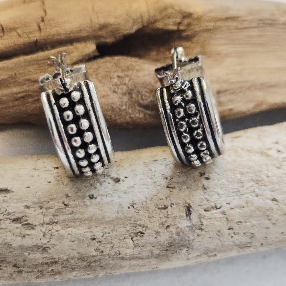 Elegant Silver Tone Hoop Earrings